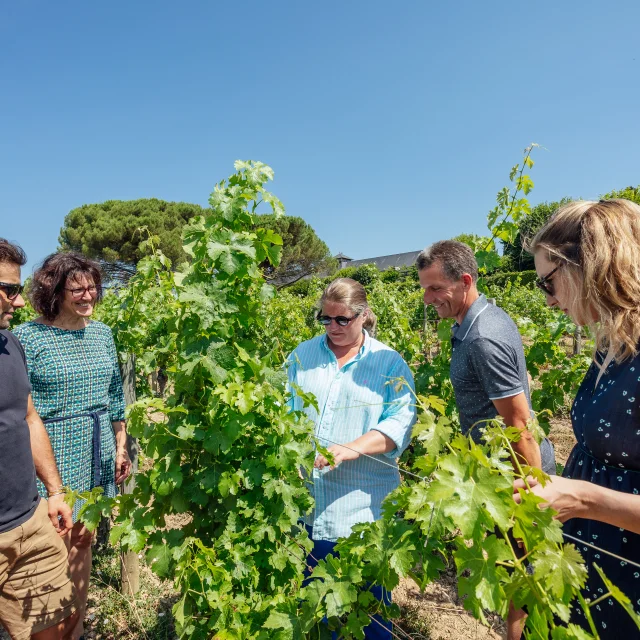 Groupe de visiteurs au Domaine aux moines