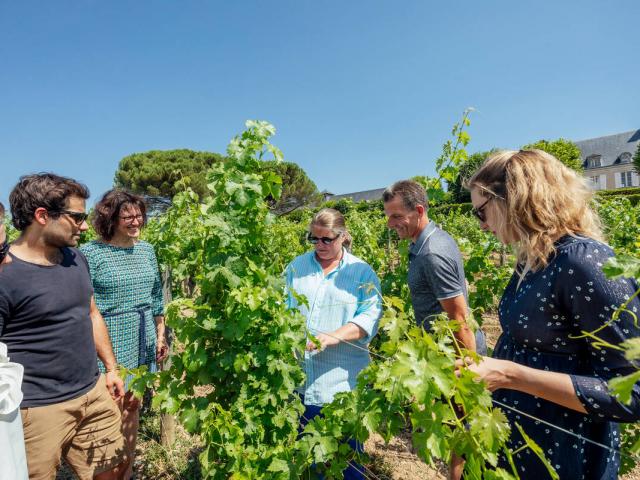 vignes-savennieres-christophe-martin.jpg