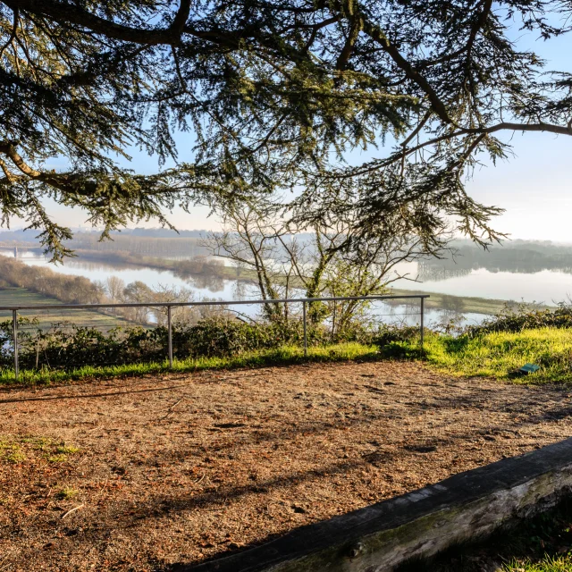 View from the Piverdière promontory (Bouchemaine), over the flooded plains in winter