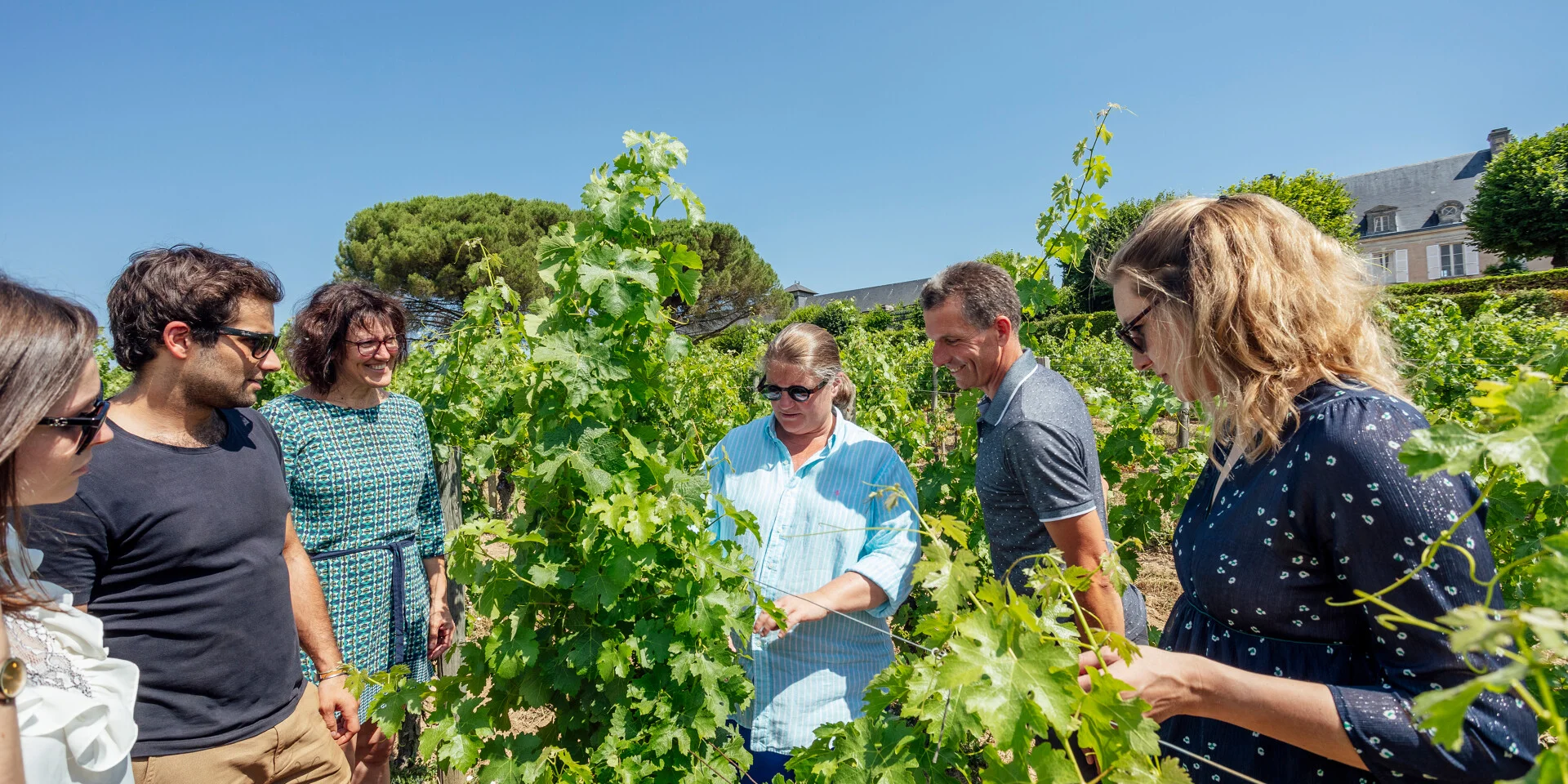 Des amis à la découverte des vignobles