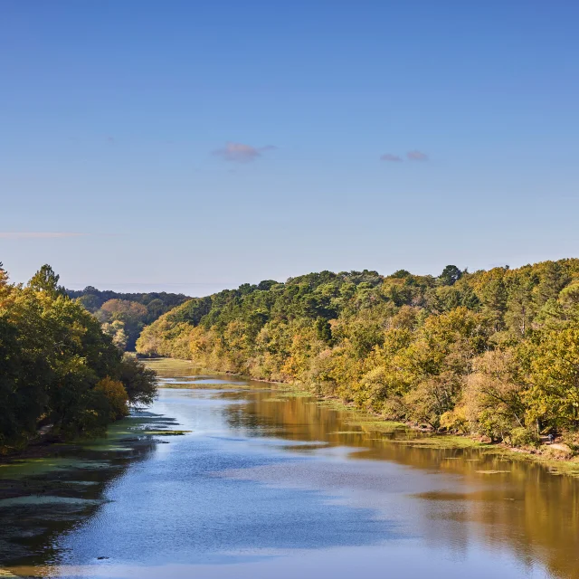 Plan large sur l'étang et le parc Saint-Nicolas à l'automne