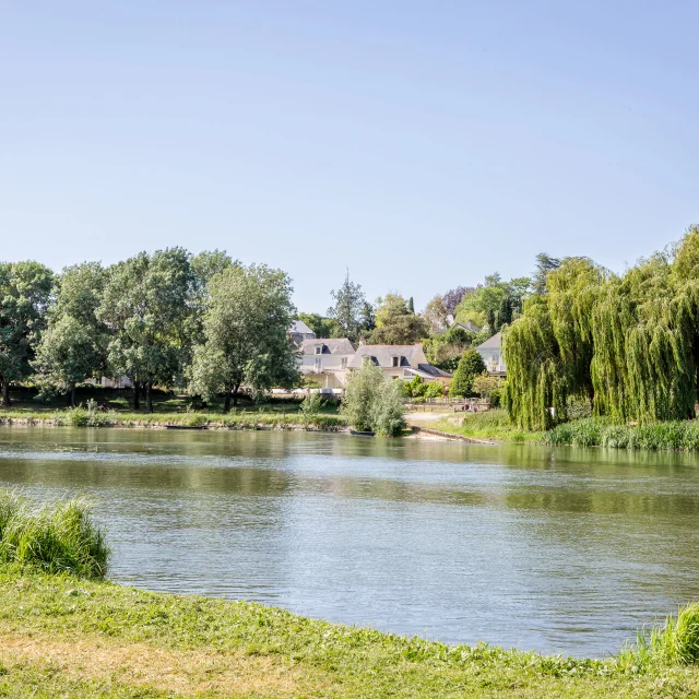 Bords du Loir à Villevêque
