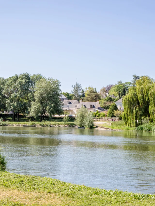 Bords du Loir à Villevêque