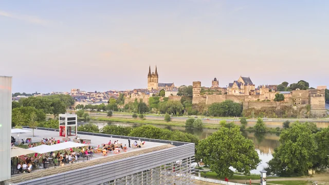 Vue sur Angers