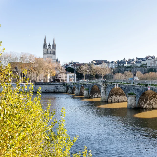 Ambiance hivernale à Angers