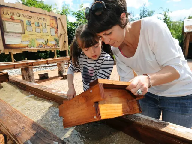 Ruee Vers Ambre Terra Botanica Angers C Coralie Pilard