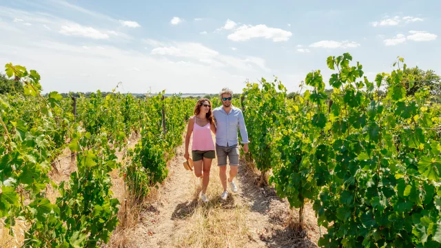 Un couple se balade dans le vignoble, un jour d'été