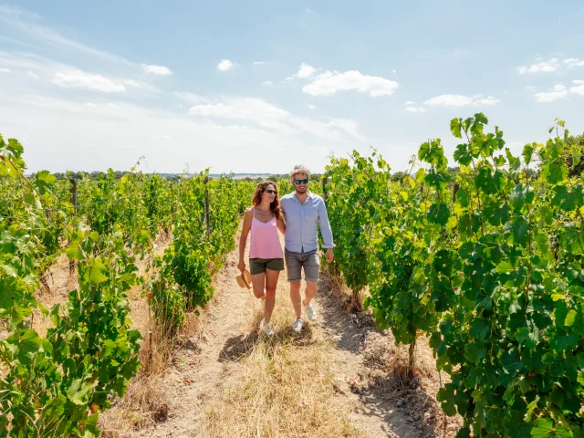 Un couple se balade dans le vignoble, un jour d'été