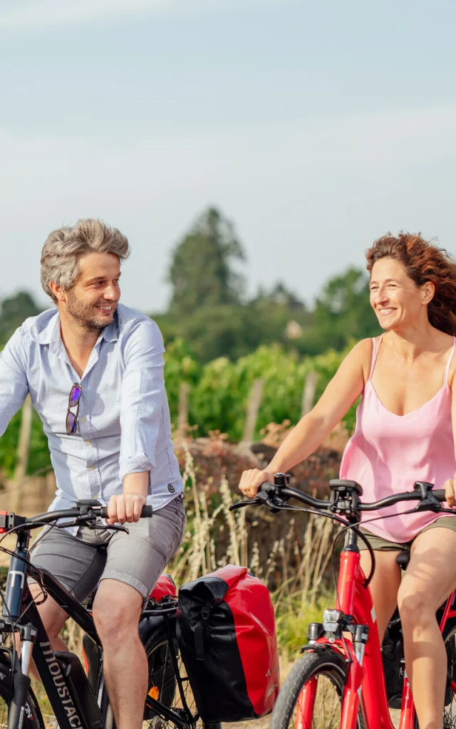 Bike tour along the vineyards