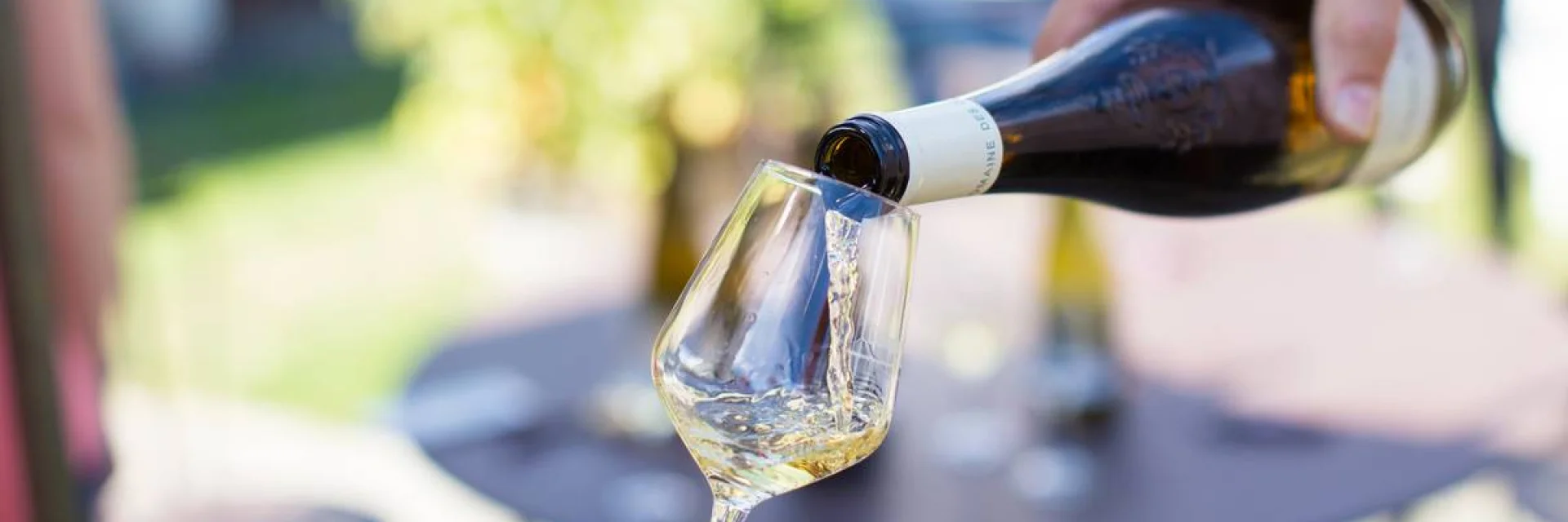 Wine tasting at the Domaine des Deux Moulins