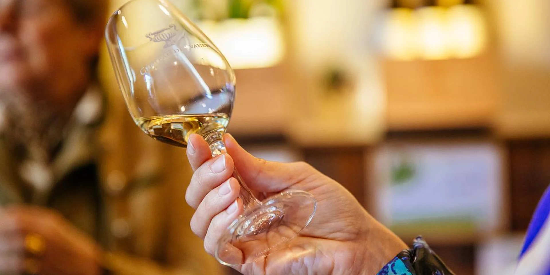 Cata de vinos