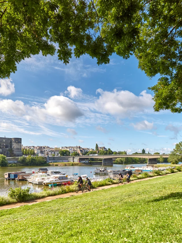 Balade sur les bords de Maine à Angers