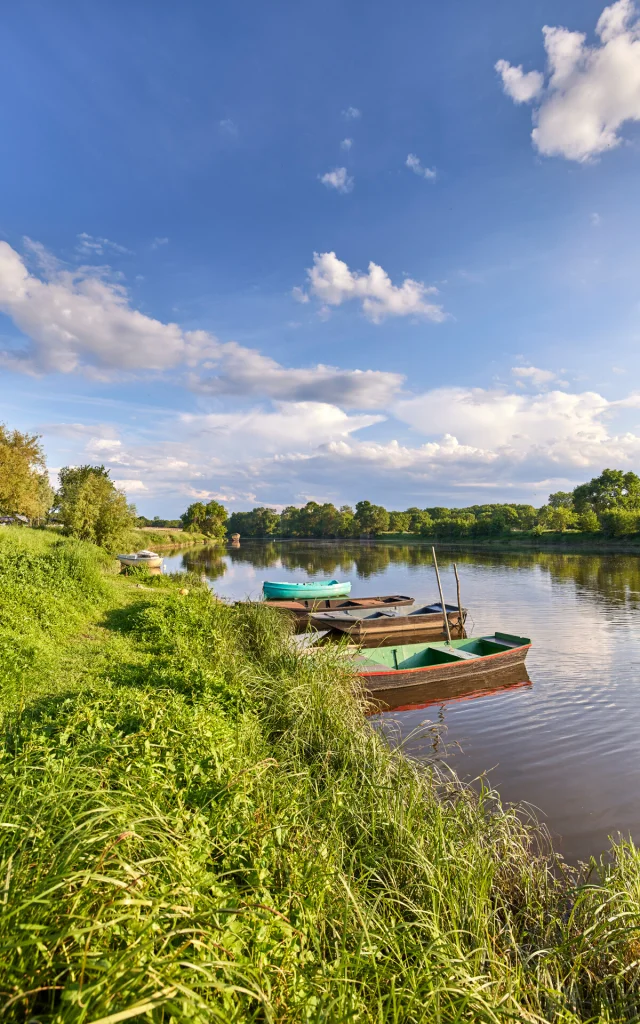 Banks of the Mayenne in Cantenay-Épinard