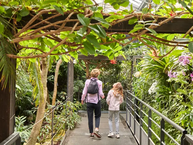 Invernaderos Des Climats Terra Botanica