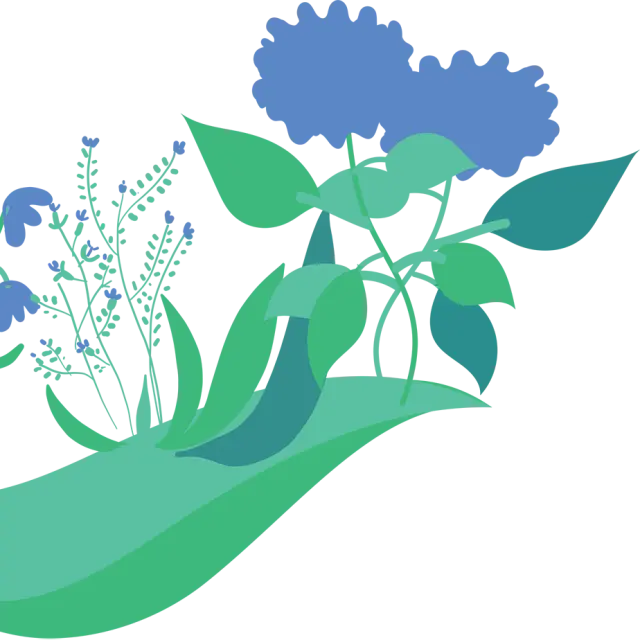 Illustrations fleurs Sabrina Chess