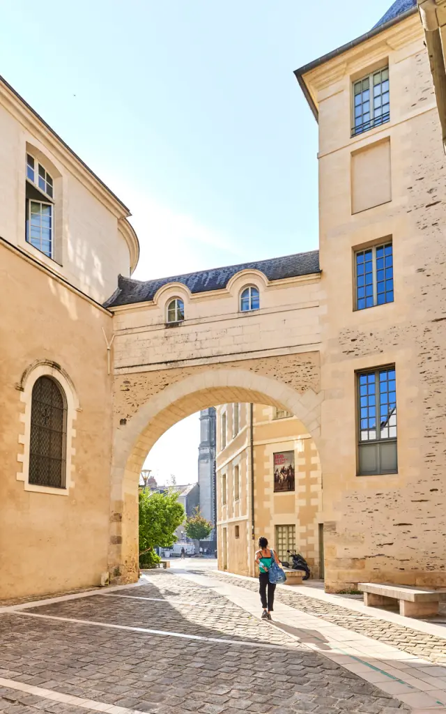 Rue du Musée des Beaux Arts à Angers