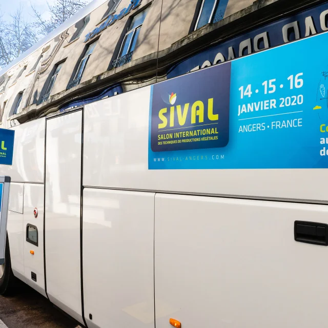 Plan rapproché : flocage événementiel sur un bus