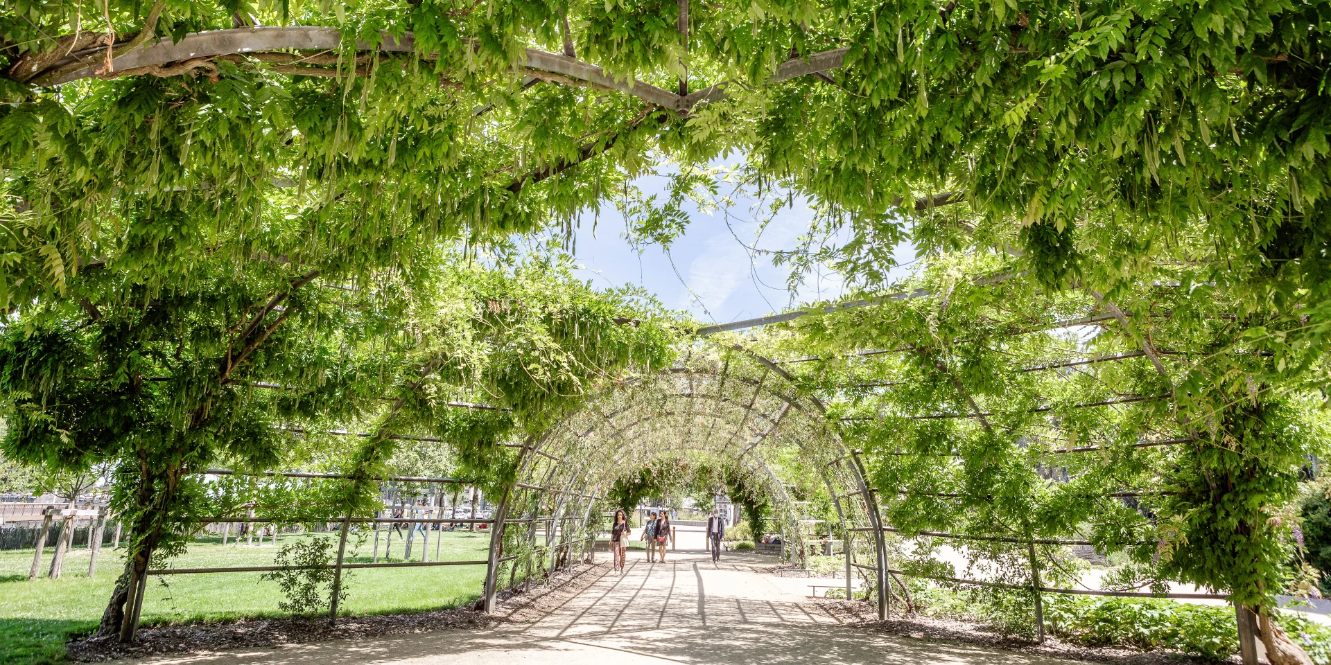 Angers Ville Verte Promenade Jean Turc