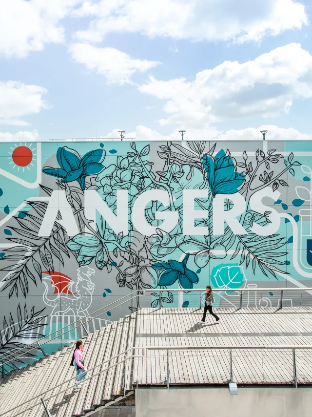Passerelle-Gare
