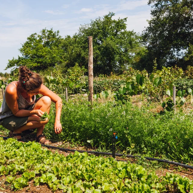 La Serre A Fines Herbes Copyright Christophe Martin Destination Angers 3989 Min