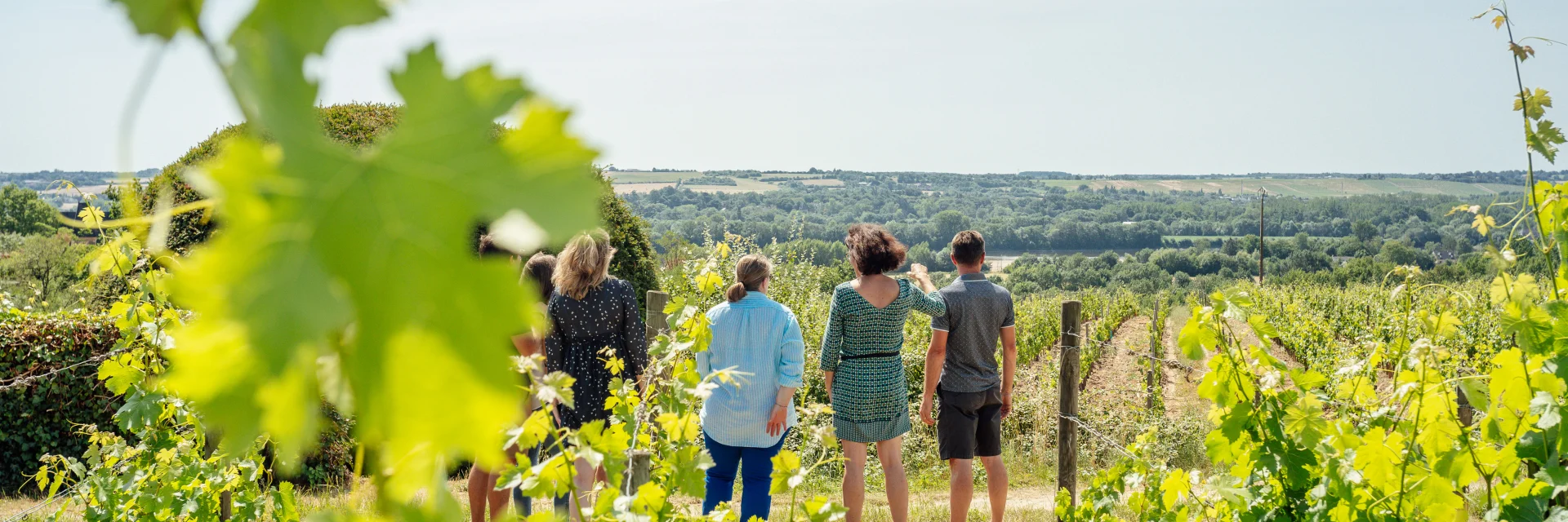 4 personnes regardent la vue sur le paysage depuis les vignes