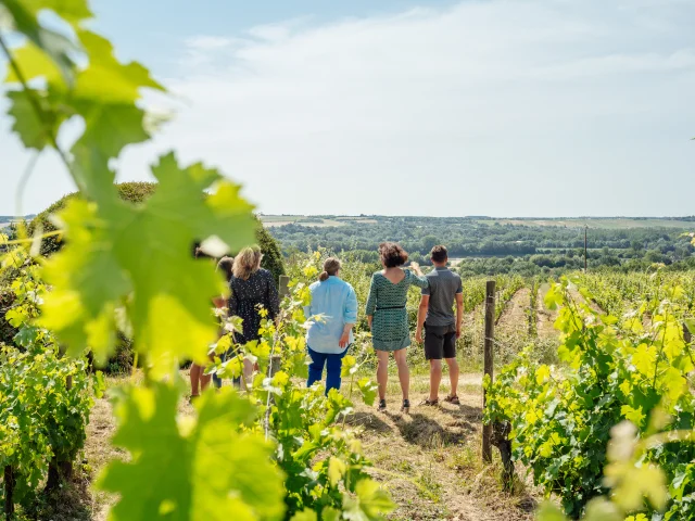 reportage-oenotourisme-produit-chenin-copyright-christophe-martin-destination-angers-6595.jpg