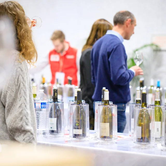 dégustation de vins