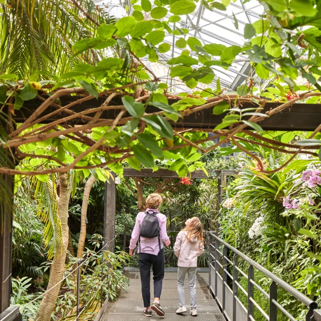 Serre des climats à Terra Botanica à Angers