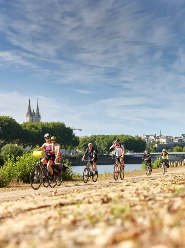 Angers Lamoureux family veil