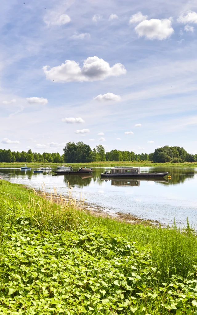 A La Confluence De La Maine Et De La Loire Bouchemaine