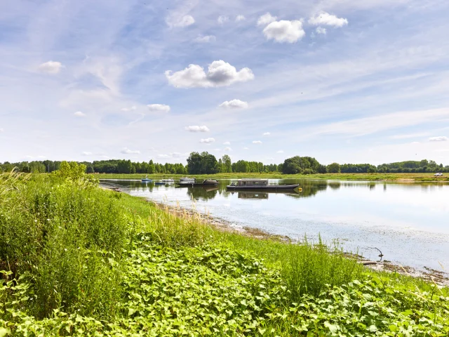 A La Confluence De La Maine Et De La Loire Bouchemaine