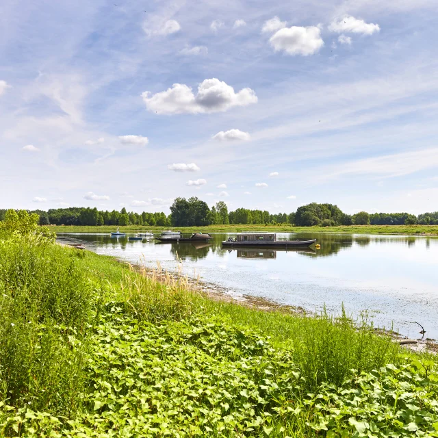 A La Confluence De La Maine Et De La Loire Bouchemaine