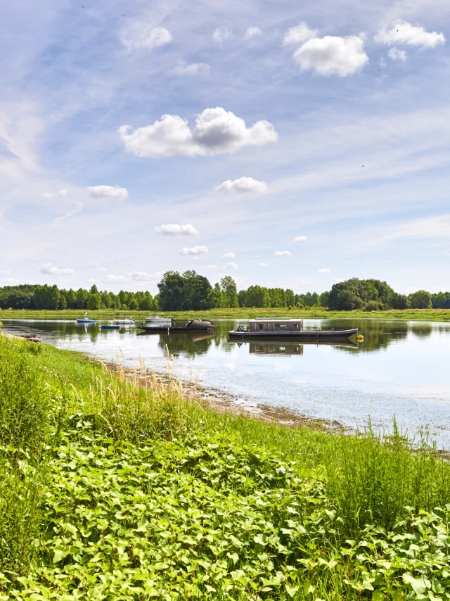 A La Confluence De La Maine Et De La Loire Bouchemaine