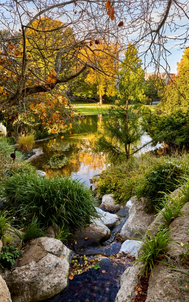 Jardin des Plantes d'Angers à l'Automne
