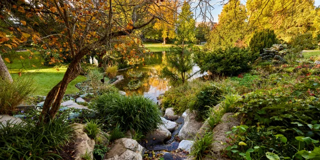 Jardin des Plantes d'Angers à l'Automne