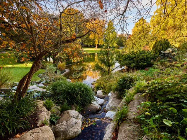 Jardin des Plantes d'Angers à l'Automne