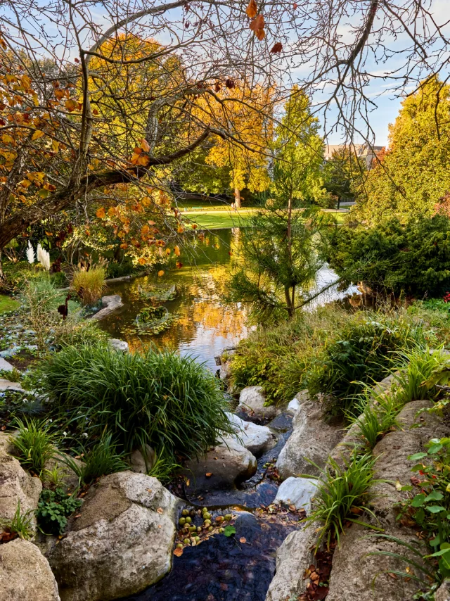 Jardin des Plantes d'Angers à l'Automne