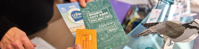 Angers City Pass Loira Odyssee Alexandre Lamoureux 1