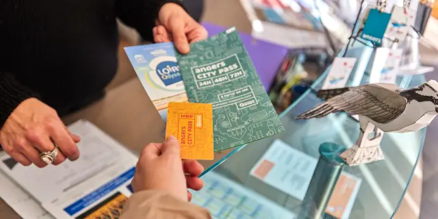 Angers City Pass Loire Odyssee Alexandre Lamoureux 1