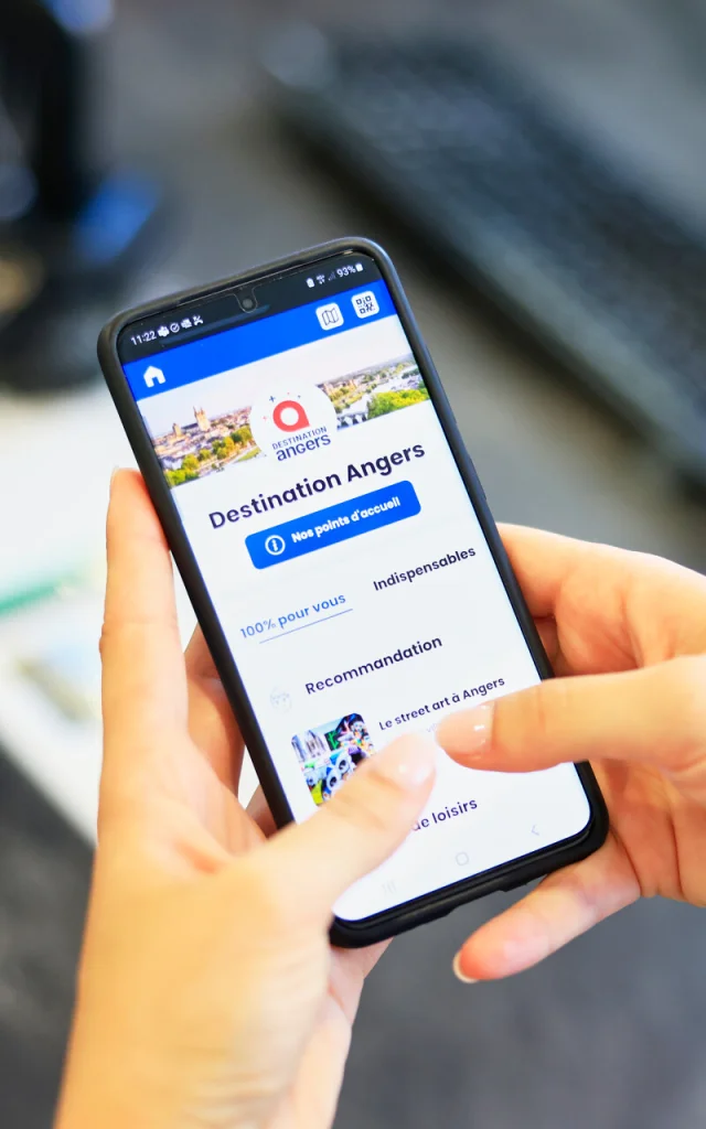 Carnet de séjour sur mobile dans les mains d'une femme