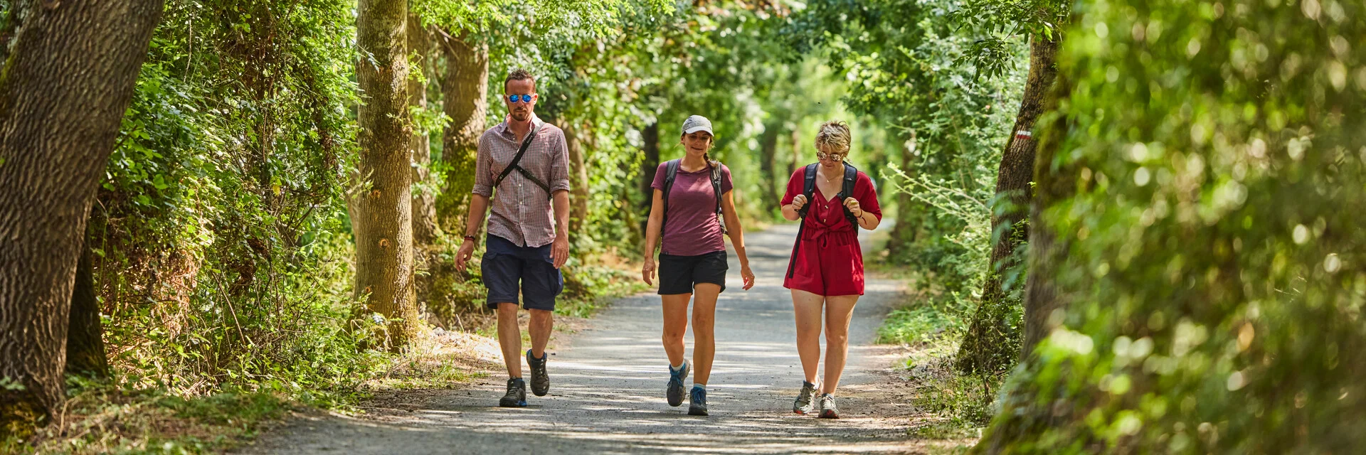 Balade Chemin Au Niveau Du Lac De Maine Copyright Alexandre Lamoureux Destination Angers 20351 1920px