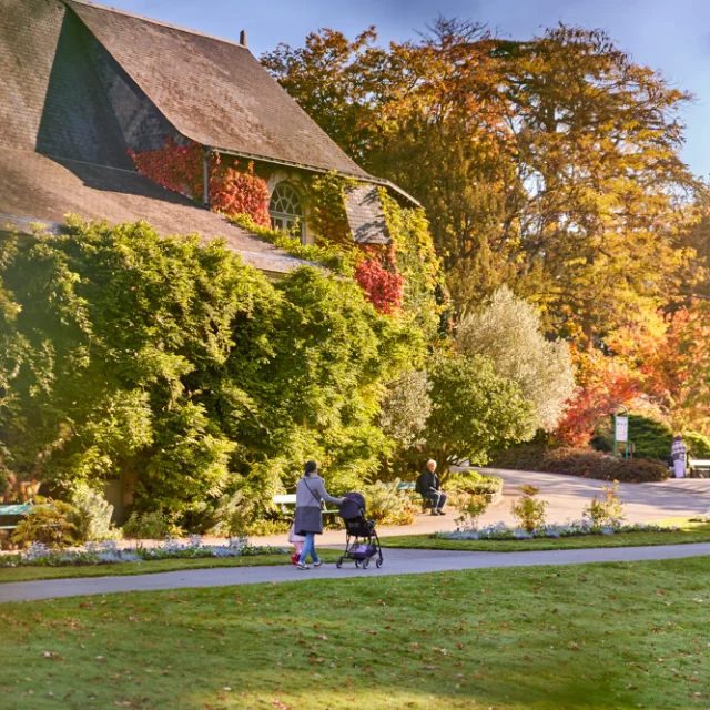 Femme poussant au loin une poussette, arbres aux couleurs d'automne