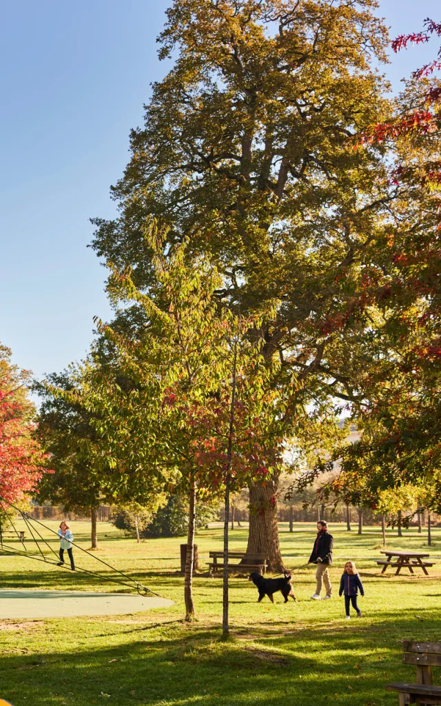 Parc De Pignerolle A L Automne Copyright Alexandre Lamoureux Destination Angers 15078 1920px
