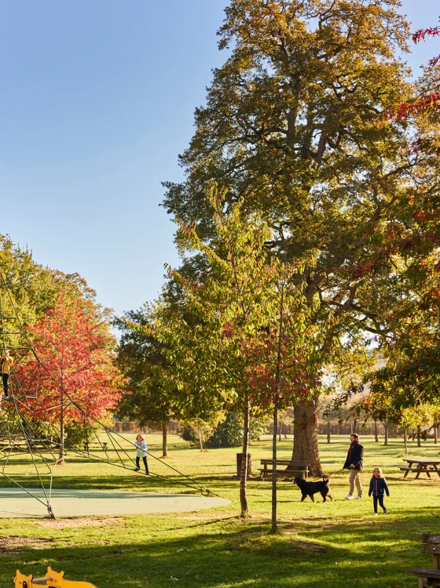 Parc De Pignerolle A L Automne Copyright Alexandre Lamoureux Destination Angers 15078 1920px