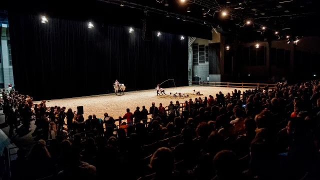 Freelance photographer