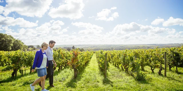 Balade à pied en amoureux dans les vignobles de Savennières