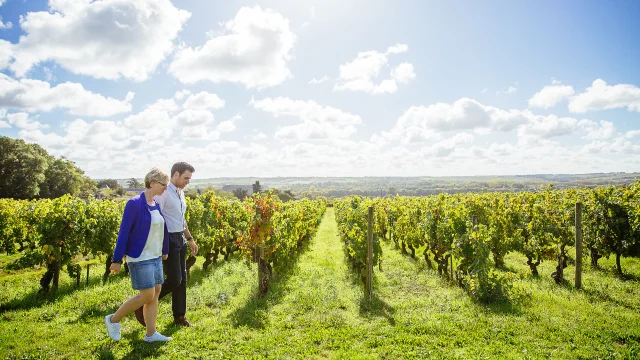 Savennieres Les Conteurs vineyard walk