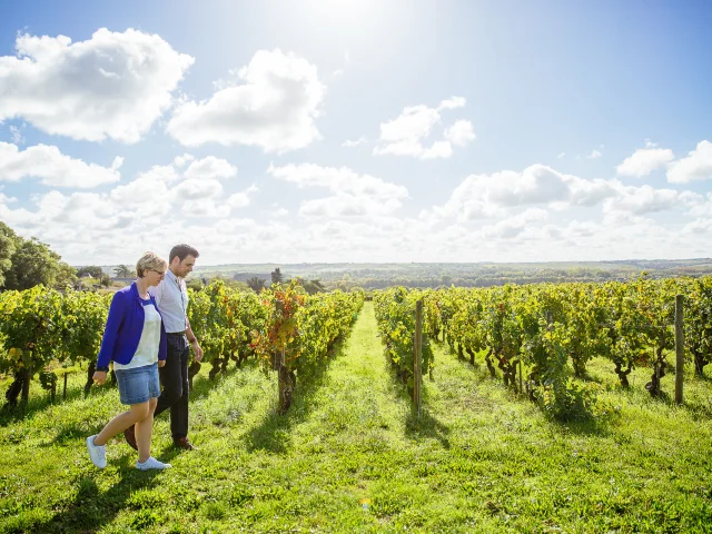 Savennieres Les Conteurs vineyard walk