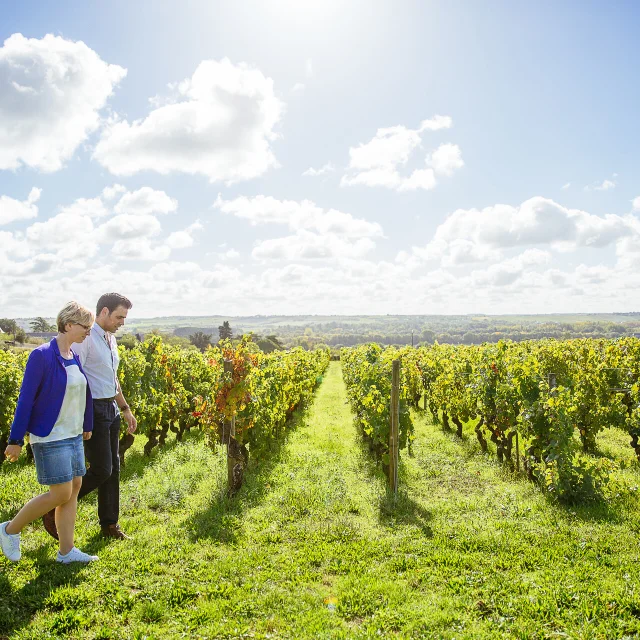 Savennieres Les Conteurs vineyard walk