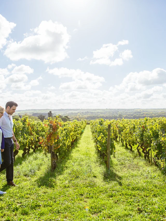 Savennieres Les Conteurs vineyard walk